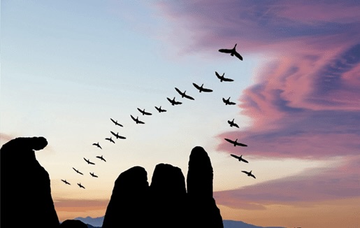 mindfulness-die-schluesselkompetenz-fuer-erfolgreiche-fuehrung-und-zusammenarbeit